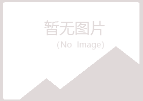 阳山县梦松金属有限公司